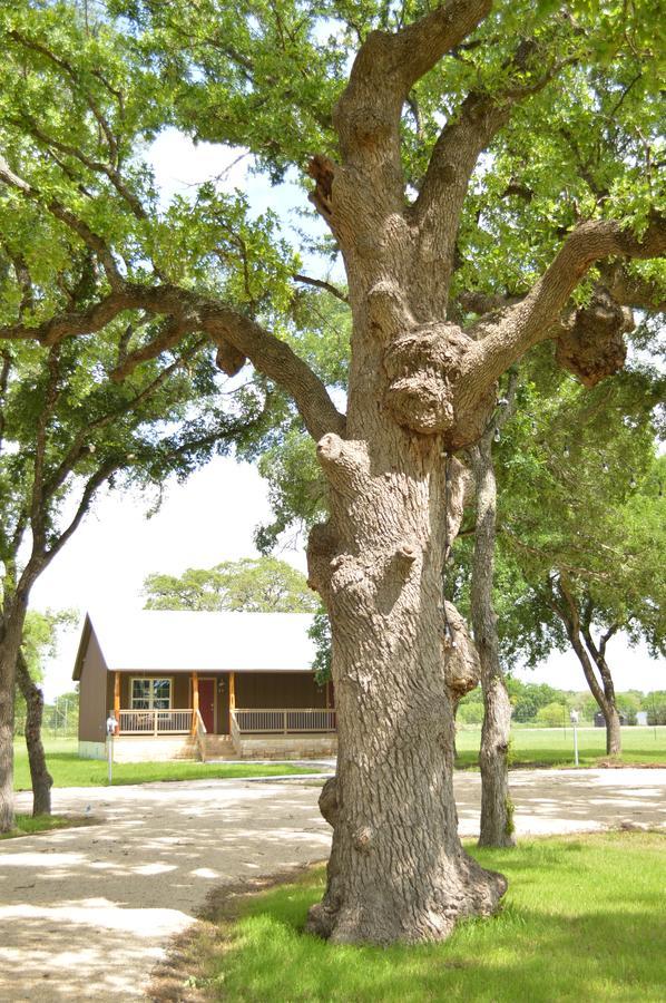 Vineyard Trail Cottages- Adults Only Fredericksburg Værelse billede